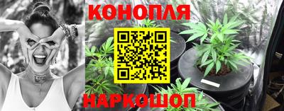 гашик Абинск