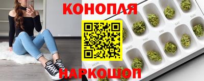 гашик Абинск