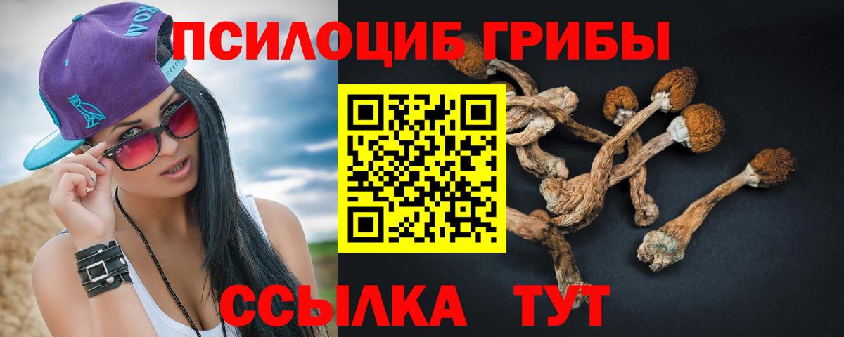 Галлюциногенные грибы Cubensis Алексеевка